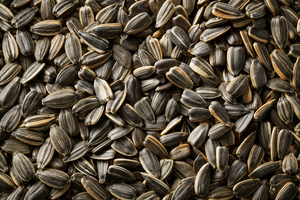 Probiotic Blend