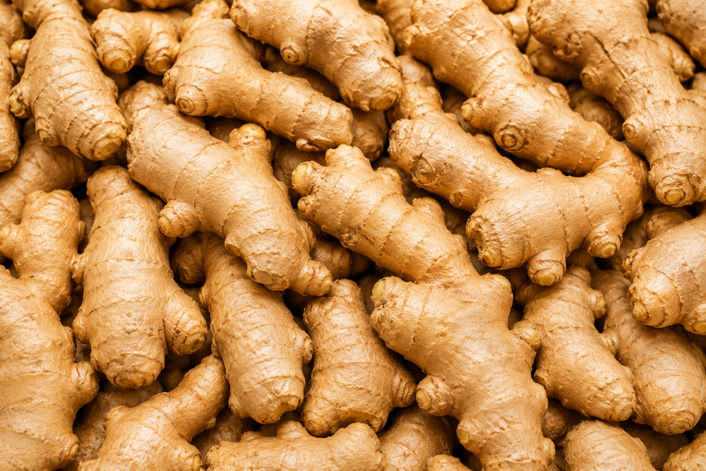GInger
