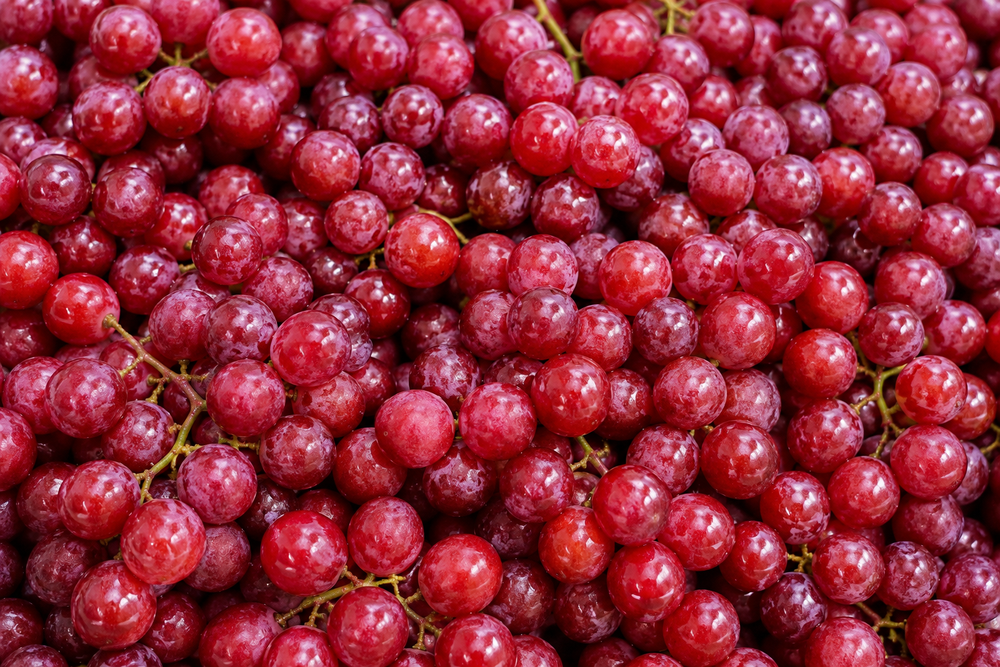 Grap Seed Extracts